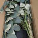 5FT Faux Eucalyptus Tree Indoor Artificial Tree Fake Tree Tall Faux Plants for Modern Home Office Living Room Bedroom Hallway Corner Decor (4ft 11in)