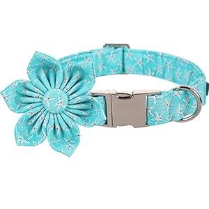 Lionet Paws Dog Collar with Flower - Cute Cotton Adjustable Flower Dog Collar with Metal Buckle for Small Dog Girl Boy, S, Neck 10-16in
