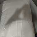 Standard 1pk Firm Machine Washable Overfilled Plush Bed Pillow 