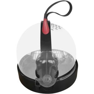 Alasum Breathable Portable Hamster Travel Cage Lightweight Carrier for Outdoor Use Convenient Design for Hamsters and Ferrets Black