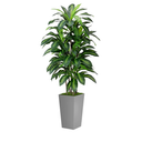 Artificial Dracaena Plant Indoor 5FT - Fake Tree with Gray Tall Planter - Faux Yucca Tree Tall Fake Floor Plant in Pot - Artificial Trees for Home Office Indoor
