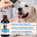 Collagen for Dogs - Skin and Coat Supplement for Dog, Dog Liquid Collagen, Collagens Supplement for Dogs - Collagens with Biotin, MSM & Ginger - 2 fl oz