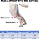 Doggie Stylz Dog Leg Braces for Back Leg Adjustable Dog Hock Brace for ACL Tear Recovery Arthritis Mobility Support Premium Leg Brace for Dogs Back Leg Dog Knee Braces for Back Leg Comfort Stability, Small
