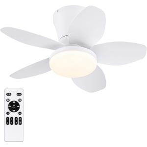 Small Ceiling Fans with Lights 25 Inch - Low Profile Ceiling Fans with Remote Control, Flush Mount, 5 Reversible Blades, 6 Speeds + Natural Wind Model, Timer, Night Light, for Bedroom Indoor