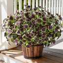 florisso Artificial Greenery Plants Outdoor, 5 Pcs Faux Coleus Plants UV Resistant Silk Plants with Stems, Fake Plants for Outside Garden Patio Hanging Planter Pathway Front Porch Decoration(Brown)