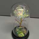Childom Mothers Day Mom Gifts for Mom,Birthday Gifts for Women Moms Grandma,Flowers for Delivery Prime,Colorful Light Up Rose in A Glass Dome,Anniversary Valentines Roses Gift for Her Wife Daughter