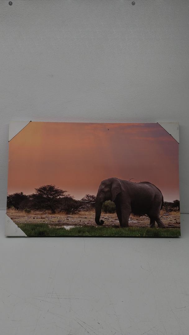 Art Elephant 24"x36"