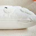 2 x Halloween Pillow Covers 18x18 inch Set of 2 White Throw Pillow Cases Soft Plush Cushion Case for Chair Sofa Bedroom Living Room Home Decor (White Pumpkin)