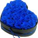 Preserved Roses Heart Shape Box Valentines Day Gifts for Her Mothers Day Forever Flowers (Blue, 27 Roses)