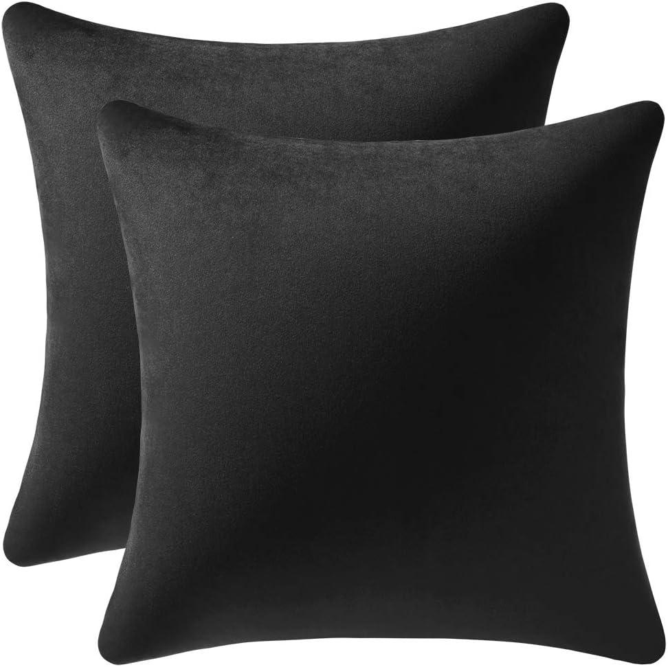 DEZENE Throw Pillow Covers 16x16 Black: Pack of 2 Cozy Soft Velvet Square Modern Luxury Decorative Throw Pillow Cases for Sofa Couch Living Room Bed Home Decor