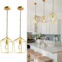 2-Pack Gold Pendant Lights Kitchen Island, Modern Mid Century Light Fixtures Hanging Lamp for Kitchen, Farmhouse Kitchen Pendant Lighting Over Island, Metal Cage Design
