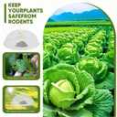 Metal Mesh Fruit Bowl with Lid & Basket - Fruit Fly Proof Kitchen Counter Storage for Fruits & Veggies (white/1PCS)