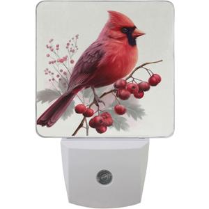 Pfrewn Bird Cardinal Berries Night Light Plug in Set of 2 for Kids Adults Boys Girls Babies, Night Lights Led Auto Motion Senor for Reading Bathroom Bedroom Nursery Decorative