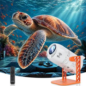 3D Galaxy Star Projector Night Light for Bedroom Ceiling Decor