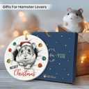 3 x Hamster Ornaments for Christmas Tree Decorations 2025, Unique Animal Lover Gifts for Women Men, Ceramic Ornaments Gift for Hamster Lovers, Xmas Gifts for Christmas Hanging Decorations