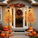 3Pcs Fall Trees Maple Tree with Lights 4Ft/5Ft/6Ft - Remote Control&Timer