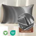 SilkSilky 100% Mulberry Silk Pillowcase - Pure 22 Momme High-Grade 6A Fibers for Hair & Skin, Envelope Closure, Natural, Organic, Breathable & Cooling Pillow Case (Standard, Dark Gray)