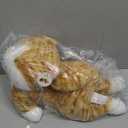 19 inch 3 lbs Cat Weighted Stuffed Animals, Realistic Weighted Cat Stuffed Animal, Sensory Comfort Plush Throw Pillow, Soft Kawaii Kitty Plush Toy Gift for Adults Kids Youth (Orange Tabby Cat)