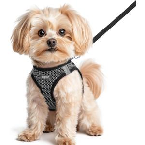 Eagloo Small Dog Harness and Leash Set, Step in Puppy Vest with Breathable Soft Mesh, Walking Reflective Pet Harness for Small Dogs, Gray, XS (XS(Chest:13.3"-15.5"))
