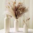Pampas Grass with Vase Set  3 Beige White Ceramic Vases with Natural Dried Pampas, Bunny Tails & More  Neutral Farmhouse Decor for Fireplace, Home, Mantel, Entryway, Kitchen & Boho Table Centerpiece
