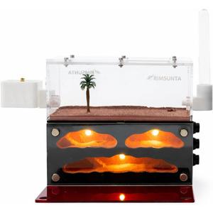 Ant Farm for Live Ants - for Small Ant Clony - Natural Learning Toy - Great Gift