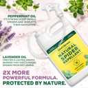 Natural Spider Repellent Spray, Peppermint & Lavender, Ready-to-Use, 128 oz (EXP 02/04/26)