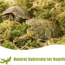 2 x Dried Forest Moss for Plants 5.3oz / 3qt, Green Orchid Sphagnum Moss, Long Fibered Dried Moss for Succulents Garden Flowers Pot and Reptiles