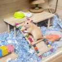 Wooden Hamster Platform with Ladder Rat Climbing Activity Playground Platform Cage Accessories Decor for Dwarf Syrian Hamster Gerbil Rat Mice (Left)