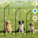 Tether Outdoor Dog Rope Toy with Adjustable Height Spring Pole, 3 Kinds Dog Tug of War Toys for Self Play and Interactive in Park, Yard, Lawn Rope, Suitable for Energetic Dog(45)
