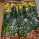 20 Bundles Artificial Flowers for Outdoors and 6 Faux Butterflies, UV Resistant and No Fade, Fake Flowers for Garden Patio Porch Home Decor Wedding Easter Mother's Day (Orange Yellow)