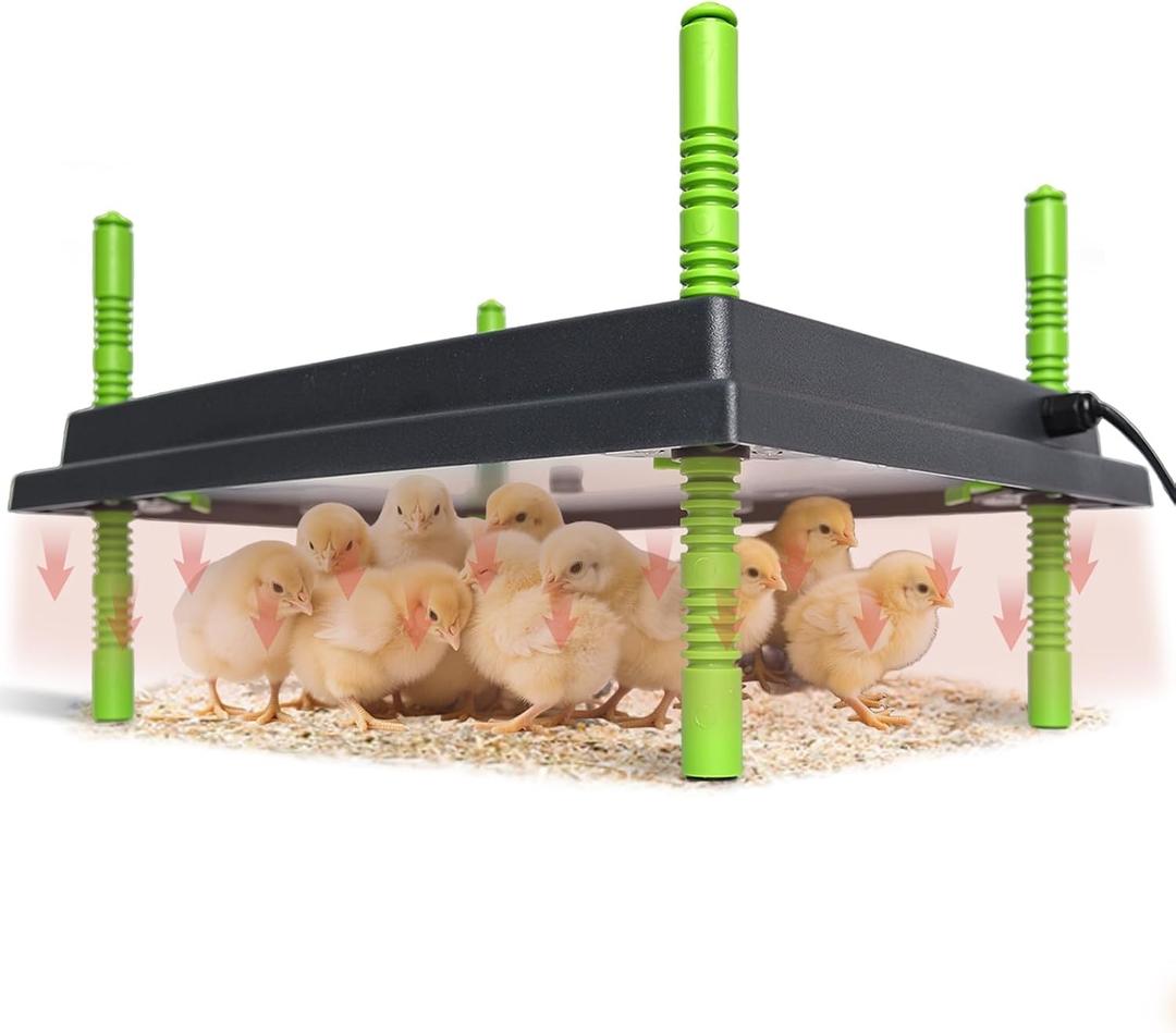Chick Brooder Heater Plate, 12"x16" Warmer Brooder Plate for Chicks with Adjustable Height & Temperature Display, 30W Temperature Control Brooder Heating Plate for 40 Baby Chicks Duck