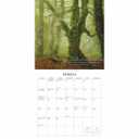Gladstone Media, Witches Woods 2026 Square Wall Calendar