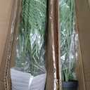 3 Pack Artificial Palm Trees Plants for Indoor Outdoor Use, 3FT Fake Palm Trees Silk Tropical Plants with 16 Tree Trunks, Faux Potted Plant for Home & Office, Living Room, Porch, Patio, Graden Decor
