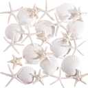 PPCLION 24 PCS Natural Starfish 2-4" and Scallop Shell for Crafts Making Beach Theme Party Wedding Decoration, Home Wall Decor, Christmas Ornaments