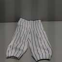 CHAMPRO mens Classic Youth Triple Crown Pinstripe Polyester Baseball Knicker, White, Navy, Small US