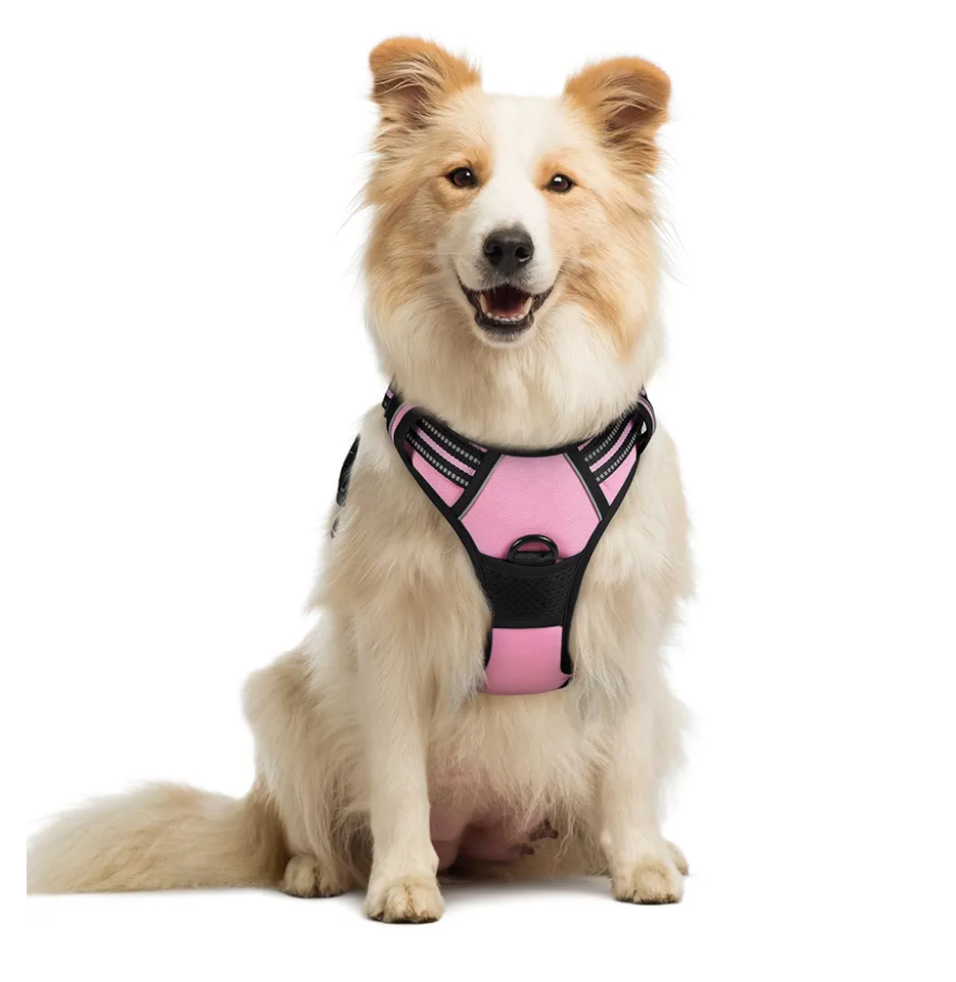 rabbitgoo Dog Harness No Pull with 2 Leash Clips, Adjustable Soft Padded, Reflective Oxford No Choke Pet Vest with Easy Control Handle for Medium Sized Dogs, Pink, M
