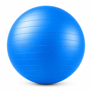 Exercise Ball Yoga Ball, Heavy Duty Swiss Ball for Balance, Stability and Physical Therapy -Blue, 23-26 Inche