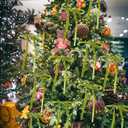 12Pcs Olive Green Velvet Christmas Tree Bows Ornaments Vintage Velvet Ribbon Bows for Tree Garland Wreath Indoor Outdoor Christmas Decor Xmas Decorations 1'' Wide, 5 * 7 inch