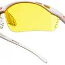 Gearbox Vision Eye Protection with Hard Case (White)