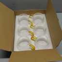 AVLA 6 Pack Glass Coffee Mugs, 16 OZ Unique Vertical Stripes Coffee Cup, Clear Large Tea Glasses with Handle, Vintage Transparent Glassware for Hot/Cold Beverages, Cappuccino, Latte, Espresso, Juice