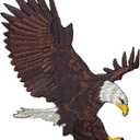 Bald Eagle Landing Iron On Patch Embroidered Eagle Applique for Jackets, Vests & Backpacks (3.88 inch x 3 inch)