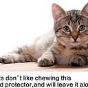 Alex Tech 25ft - 1/2 inch Cord Protector Wire Loom Tubing Cable Sleeve Split Sleeving For USB Cable Power Cord Audio Video Cable  Protect Cat From Chewing Cords - Blackred