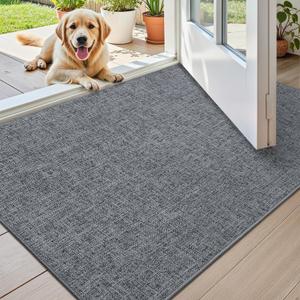 Color&Geometry Ultra Thin Indoor Door Mat (Rolled-up NO Creases) 32"x48", Non Slip Rubber Backed Dirt Trapper Door Mat Indoor Entrance, Low Profile Entryway Mat, Easy Clean, Dark Grey Linen