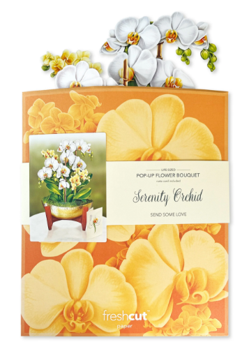 Serenity Orchid Pop-Up Flower Bouquet