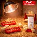 Chick Heat Lamp, 5 Pcs Chick Starter Kit with Chick Feeder and Waterer Set, Chick Stand Perch, Baby Chicken Supplies for Baby Chick, Duck and Quail