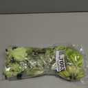 BBTO 21 Pcs Flower Hair Clip Rose Hair Clips Barrettes for Women Flower Accessories Boho Bride Claw Clip Hairpin Brooch Pin Headpiece for Wedding (Green Series)