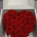 27 Forever Preserved Flowers in a Box, Vanlentines Day Gifts for Her, Eternal Roses Flowers for Delivery Prime, Birthday Gifts for Women Mom Grandma Wife (Red)