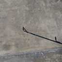 St. Croix Rods Triumph Spinning Rod, TSR, Durably Sensitive with Impressive Power, High Performing Spinning Rod