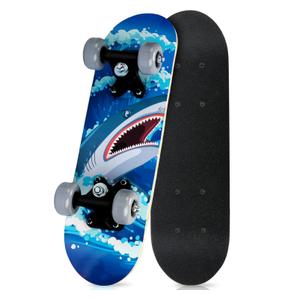 Honoson  Skateboard for Toddlers Beginners (Age 2-5 )