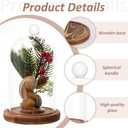 3Pcs Cloche Glass Dome With Wood Base, 3 Sizes 4.7/3.9/3.5" Diameter, Glass Cloche Dome Display with Handle For Cake, Plant, Wedding Party, Bell Jar Transparent